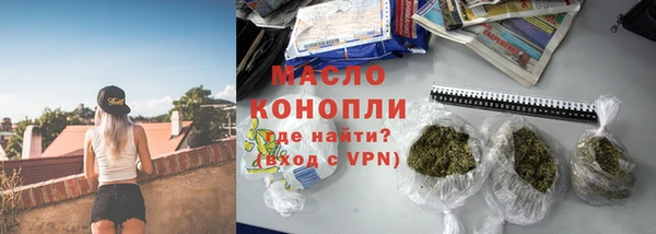 индика Медвежьегорск