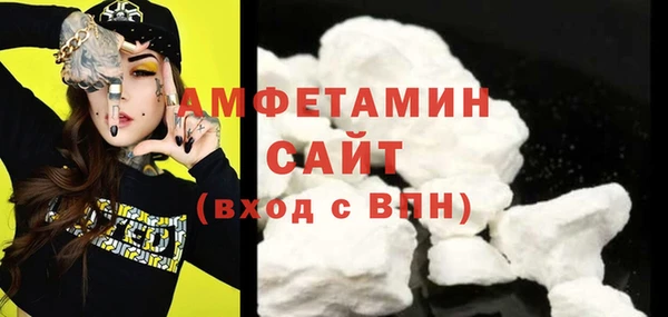 гидра Алексин